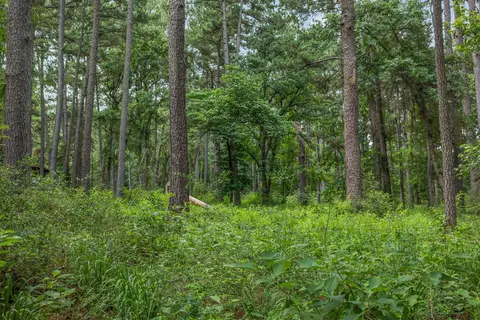 5772 Pr 2065, Centerville, TX 75833 photo 2