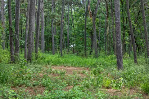 5772 Pr 2065, Centerville, TX 75833 photo 3