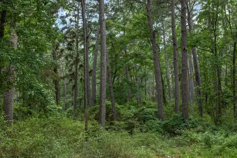 5772 Pr 2065, Centerville, TX 75833 photo 17