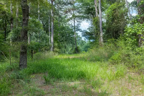 5772 Pr 2065, Centerville, TX 75833 photo 21