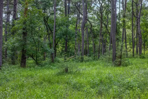 5772 Pr 2065, Centerville, TX 75833 photo 14