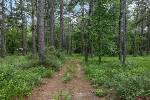 5772 Pr 2065, Centerville, TX 75833 photo 15