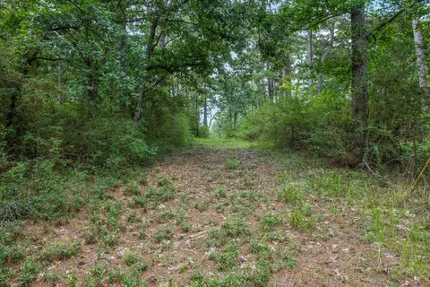 5772 Pr 2065, Centerville, TX 75833 photo 20