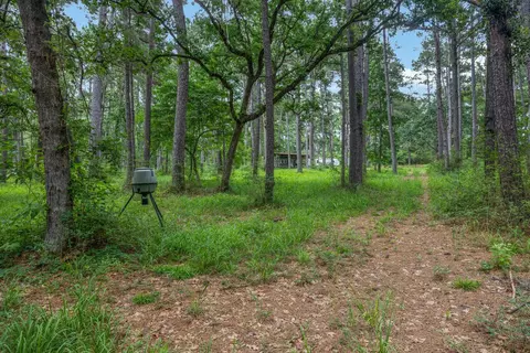 5772 Pr 2065, Centerville, TX 75833 photo 18