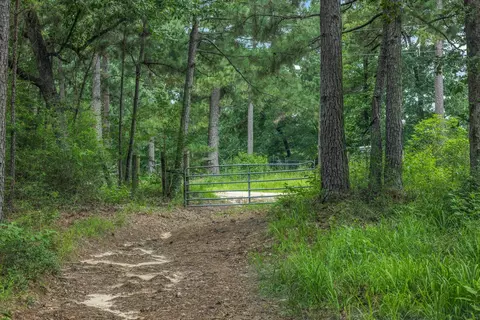 5772 Pr 2065, Centerville, TX 75833 photo 5