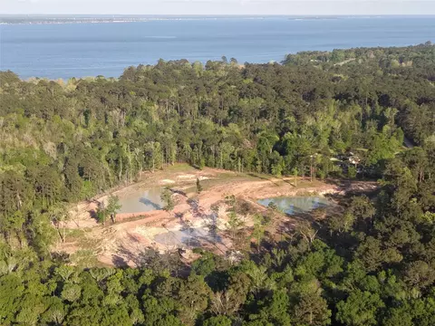 tbd Harrell Rd, Coldspring, TX 77331