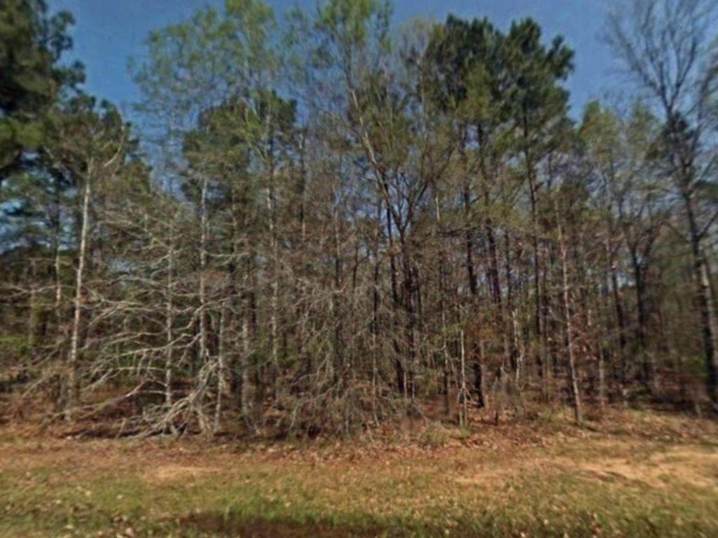 264 Thornbranch  