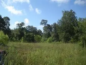 Other - 1108 Miracle Dr, Conroe, TX 77301 photo 1 of 6