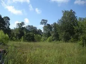 Other - 1108 Miracle Dr, Conroe, TX 77301 photo 3 of 6