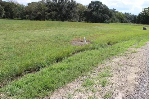 226 River Tree Dr, Blessing, TX 77419 photo 4