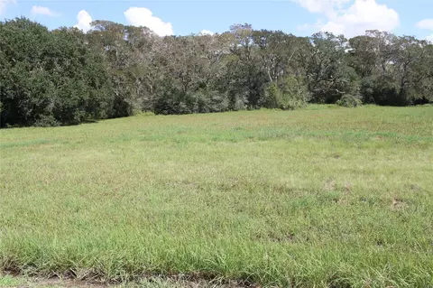 226 River Tree Dr, Blessing, TX 77419 photo 2
