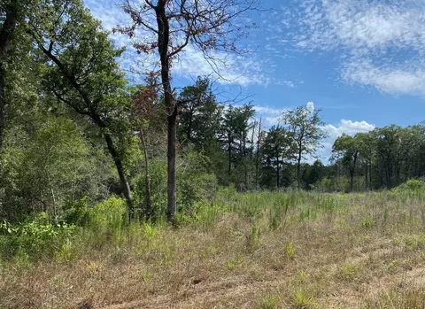Tbd High Crossing Road Tract 8, Smithville, TX 78957