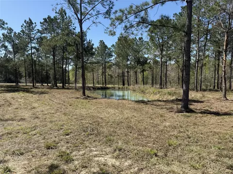 521 Rolling Pines Dr, Livingston, TX 77351