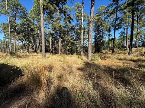 057 Private Road 6028, Brookeland, TX 75931