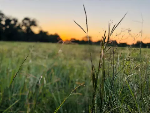 0 County Road 126 Rd, Van Vleck, TX 77482