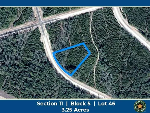 15590 Woodlife Rd, Willis, TX 77378