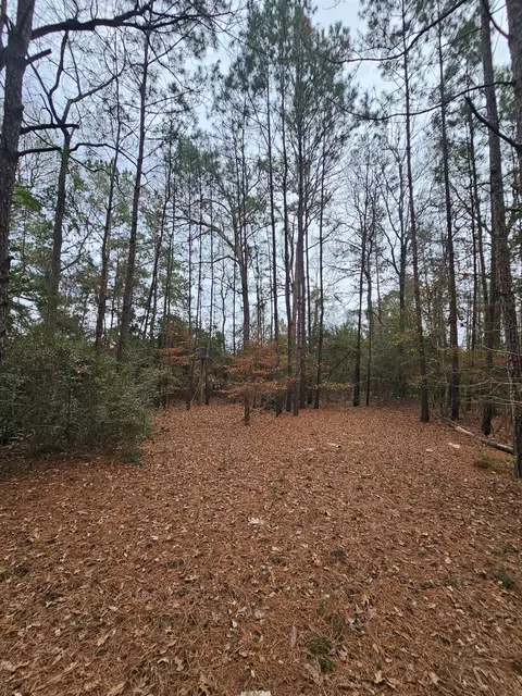 263 Wishing Trl, Livingston, TX 77351