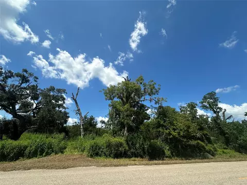 1665 County Road 310, Brazoria, TX 77422