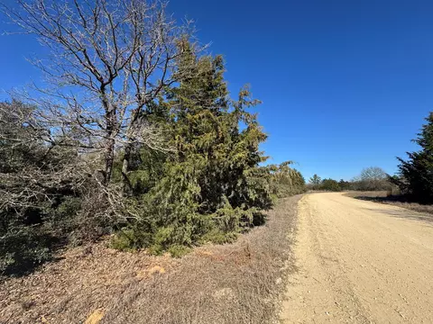79 Lakefront Dr, Normangee, TX 77871