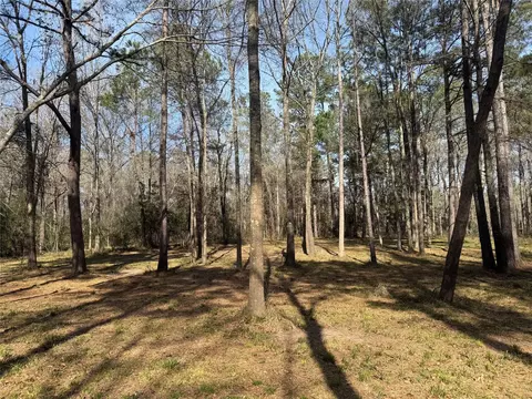 67-21 13 Bighorn Rd, New Waverly, TX 77358