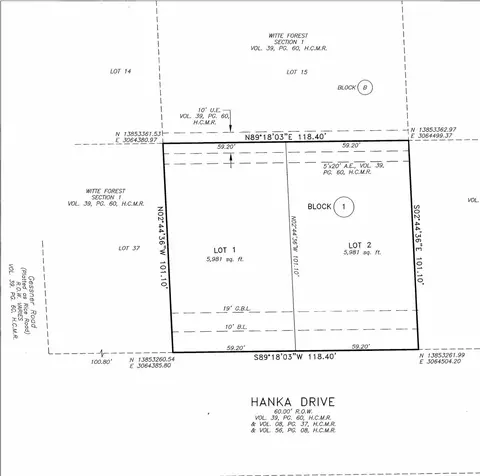 1046 Hanka Dr, Houston, TX 77080