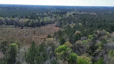 16332 Highway 96 S, Kirbyville, TX 75956
