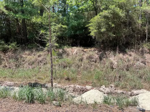 tbd E Moonlight Dr, Onalaska, TX 77360 photo 6