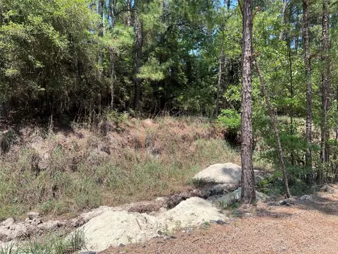 tbd E Moonlight Dr, Onalaska, TX 77360 photo 5