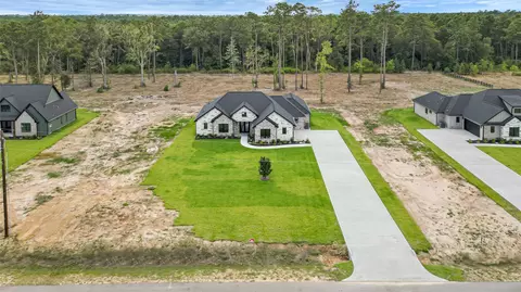 View/Area - 15020 Tybee Ln, Conroe, TX 77306 photo 2 of 5