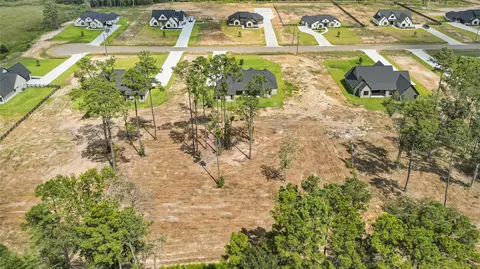 View/Area - 15020 Tybee Ln, Conroe, TX 77306 photo 4 of 5