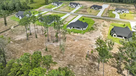 View/Area - 15020 Tybee Ln, Conroe, TX 77306 photo 5 of 5