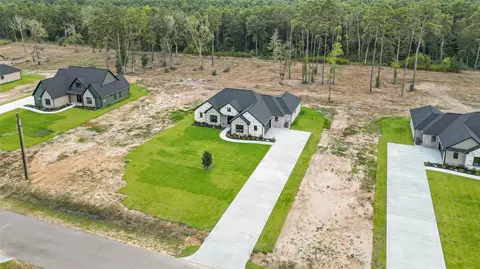 View/Area - 15020 Tybee Ln, Conroe, TX 77306 photo 1 of 5