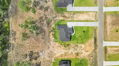 View/Area - 15020 Tybee Ln, Conroe, TX 77306 photo 3 of 5