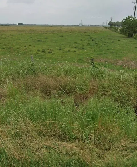 tbd Cr 321, Louise, TX 77455