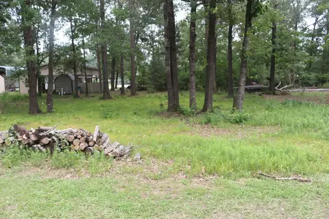 tbd Belize Dr, Point Blank, TX 77364