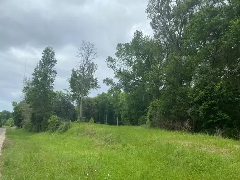 tbd 00 Fm 222 Loop S, Coldspring, TX 77331