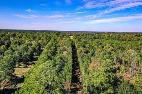 2 Farm To Market 405, Huntsville, TX 77340