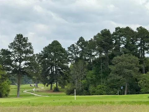 Other - 50 Westlake W, Trinity, TX 75862 photo 3 of 5
