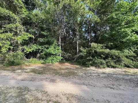 95 Red Wolf Ln, Brookeland, TX 75931