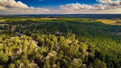001 Holly Grove Rd, Livingston, TX 77351