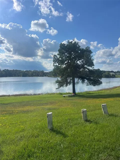 13181 Royal Springs Rd, Conroe, TX 77303 photo 10