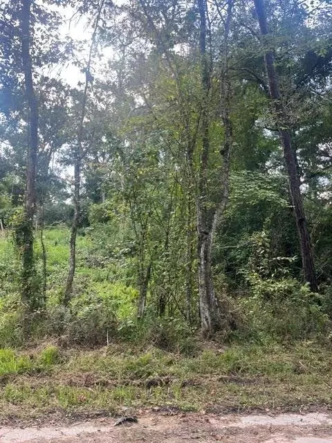 13181 Royal Springs Rd, Conroe, TX 77303 photo 9