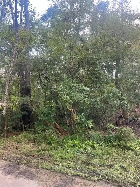13181 Royal Springs Rd, Conroe, TX 77303 photo 2