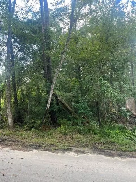 13181 Royal Springs Rd, Conroe, TX 77303 photo 6