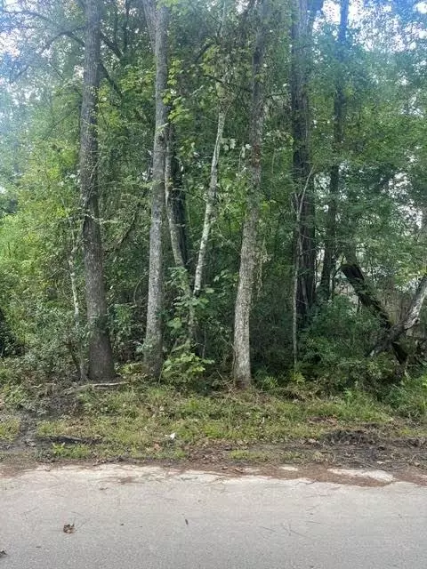 13181 Royal Springs Rd, Conroe, TX 77303 photo 7