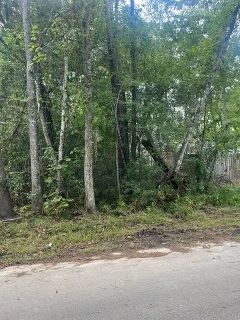 13181 Royal Springs Rd, Conroe, TX 77303 photo 8