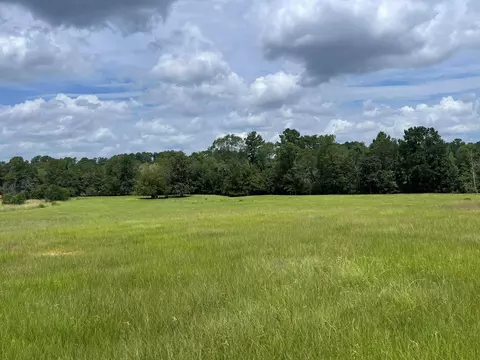 tbd Lakeland Rnch #LOT 267, Hillister, TX 77624
