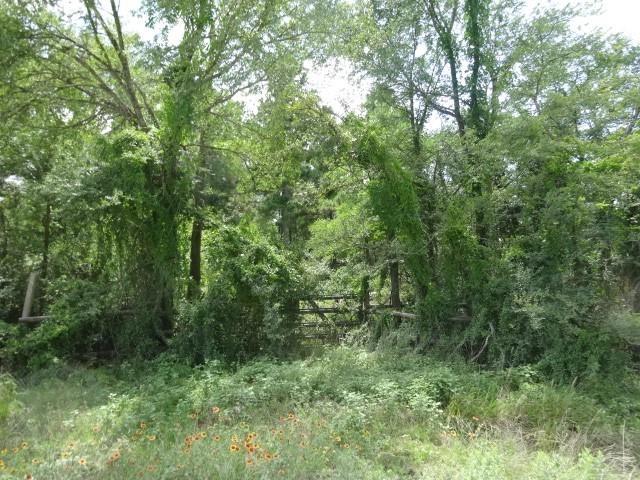 28 Marjorie Ln, Huntsville, TX 77320