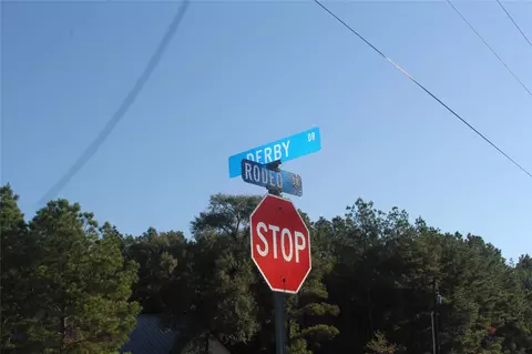 17722 Derby Dr, Waller, TX 77484