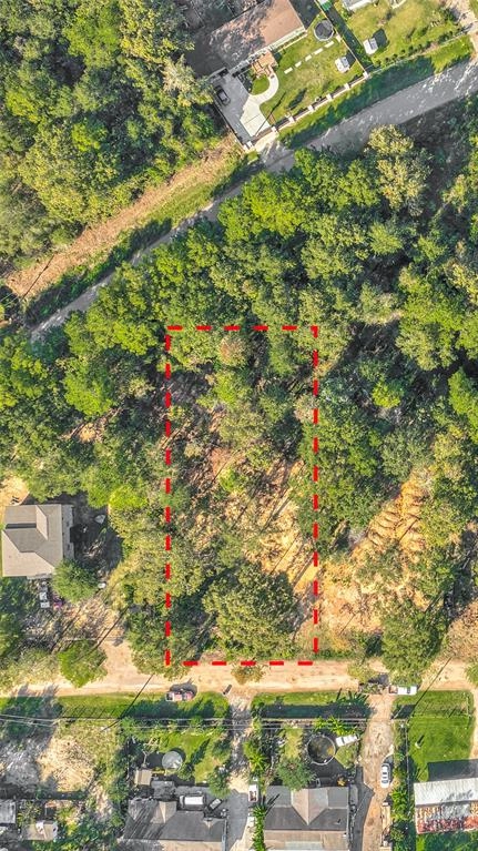 25653 Gloucester, New Caney, TX 77357 photo 1